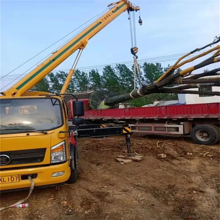 老新镇100吨吊车租赁费用怎么算？3大关键因素+省钱技巧全解析